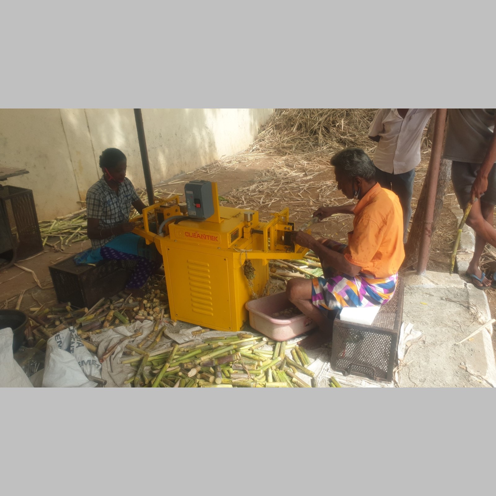 Sugarcane Bud cutting machine
